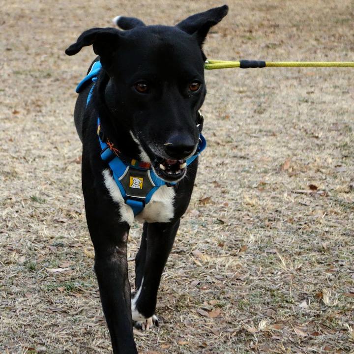 0204e5c6 e301 479f 9f2a a07ba1654dc1 1609807078294