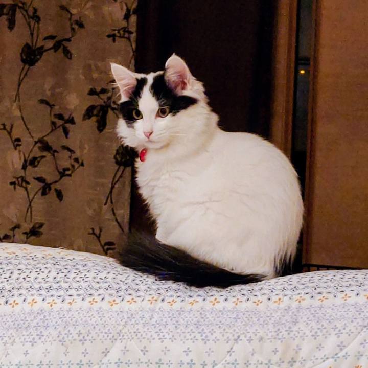 0204e5ca 4ea6 4572 aff0 99446a5a9dbd 1764144027406