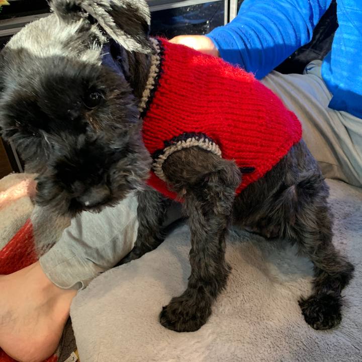 020500c0 88d7 4b40 bd30 0c36b2aa3def 1641686210439