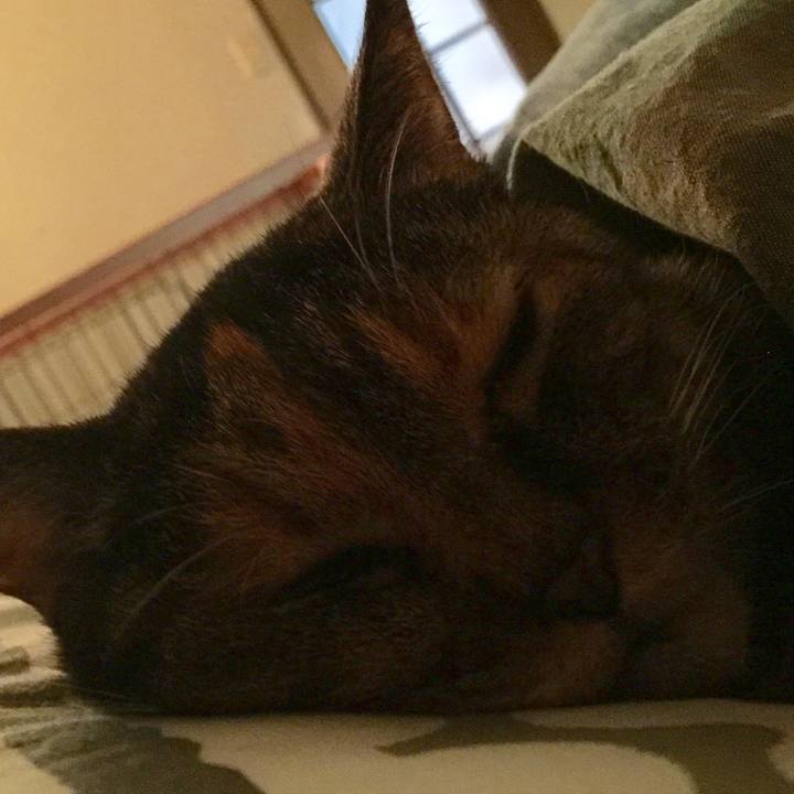 020501e9 fb05 41f2 81c6 01fff3571aaa 1570656448787