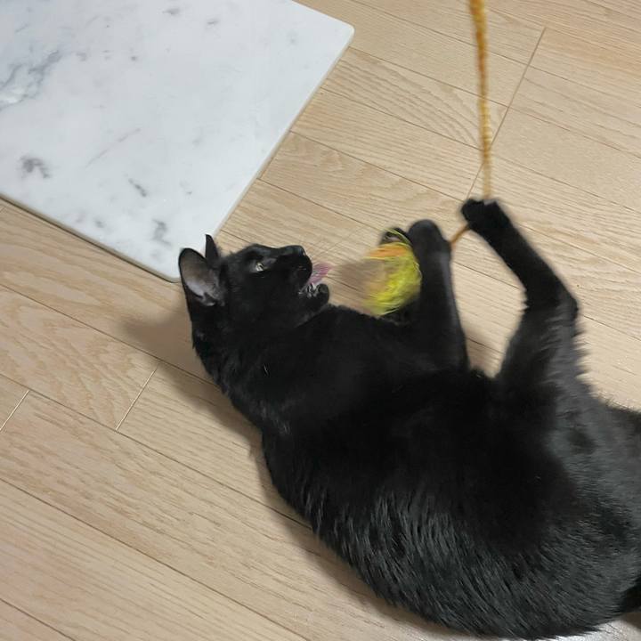 0205395f cdfd 4f6b b9fc f2ac4dfa5fa2 1693828062950