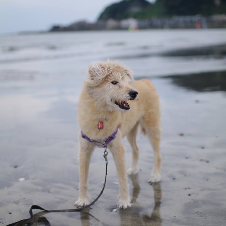 02057464 16ed 496c 9764 f61487ed280c 1600915713833