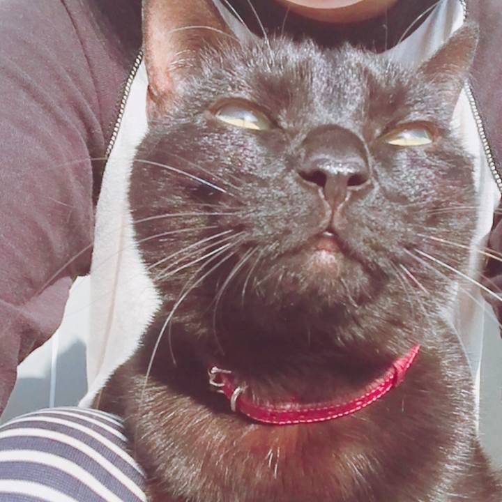 02059b6d abd7 45cf aa3c 8a58280f39d4 1520984948372