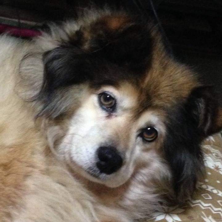 0205b9e6 572e 4c2a 8525 3fe9ef49fbfb 1601755778684