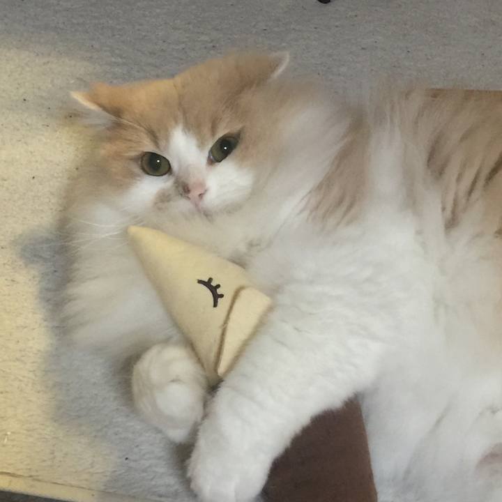 0205c15a 491e 417b b570 af93f842da6a 1555832087441