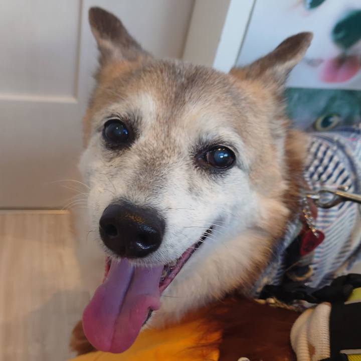 0205ce1d da61 4f76 b91b 2a09c4b936b6 1734768383443