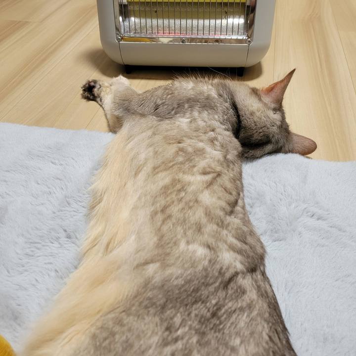 0205d53e 643a 4eba abf3 059d850ece3f 1646732333229