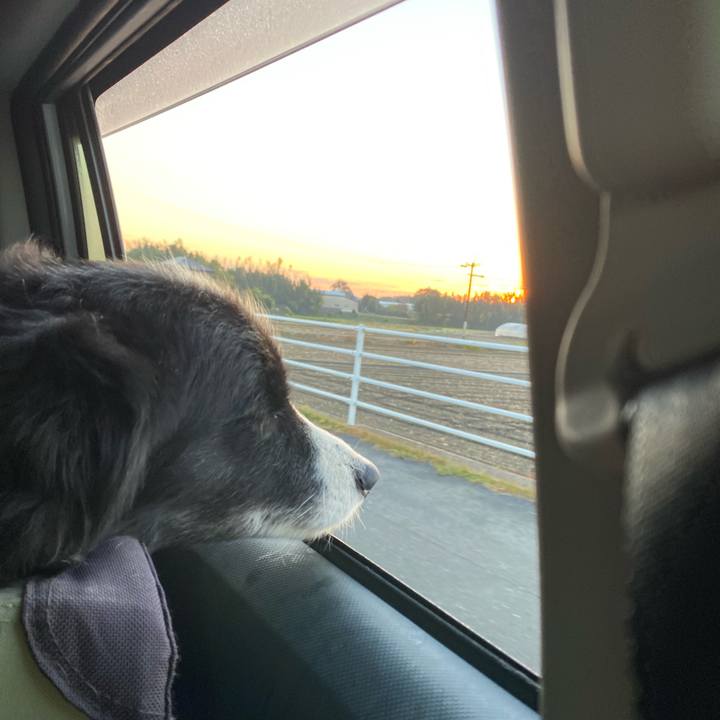 02060615 917d 465b bd78 313ea8fbf5fd 1637964703308