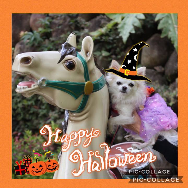 020615a1 2756 4e33 8dde 742df77bbe2b 1571900176309