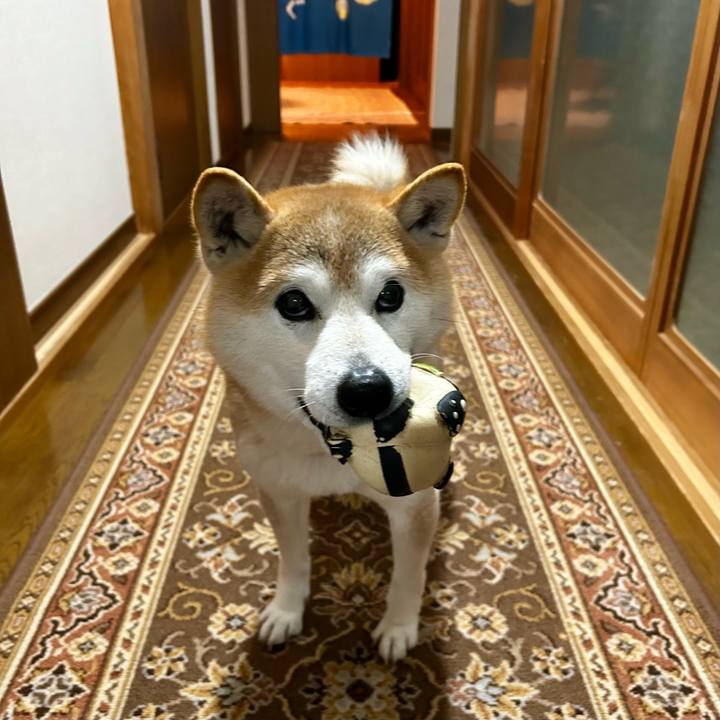 02062912 ad09 47f7 a554 2ef1a5d55aa6 1712572427591