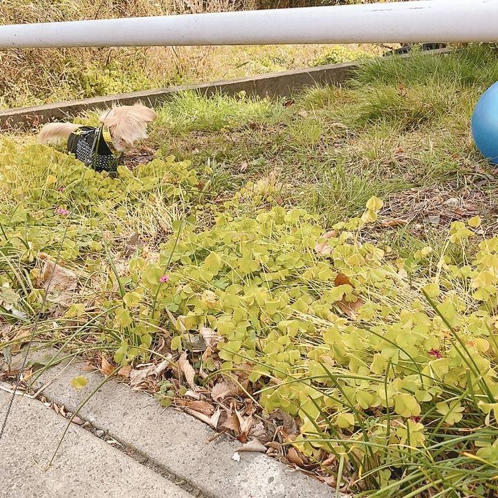 0206d815 6af0 4e27 ac7c 9bb5de8cc23f 1614581060531