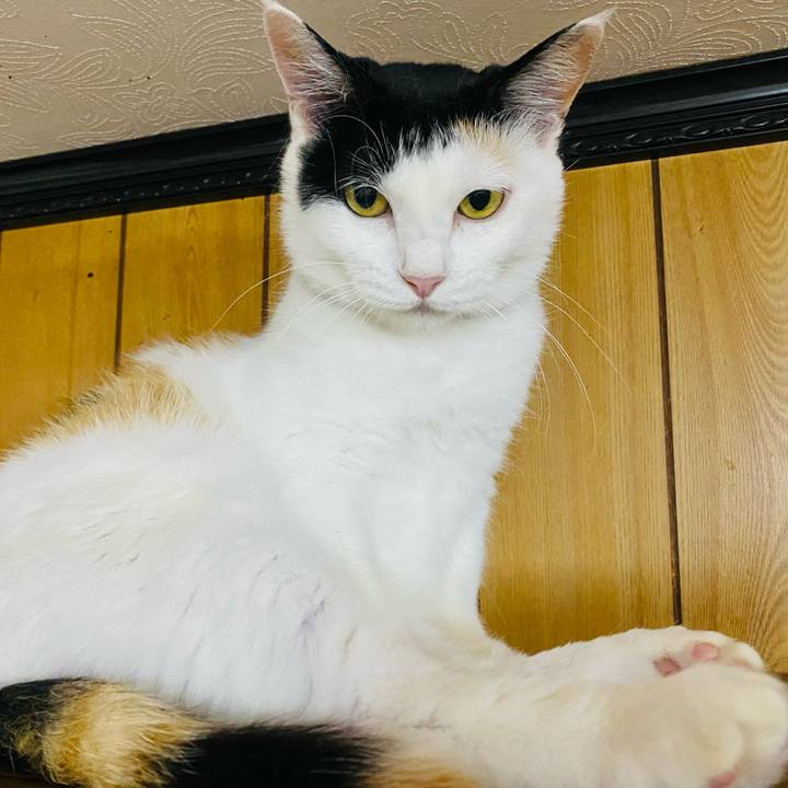 020702a3 6fea 424a a875 d12f039094c4 1658407060682