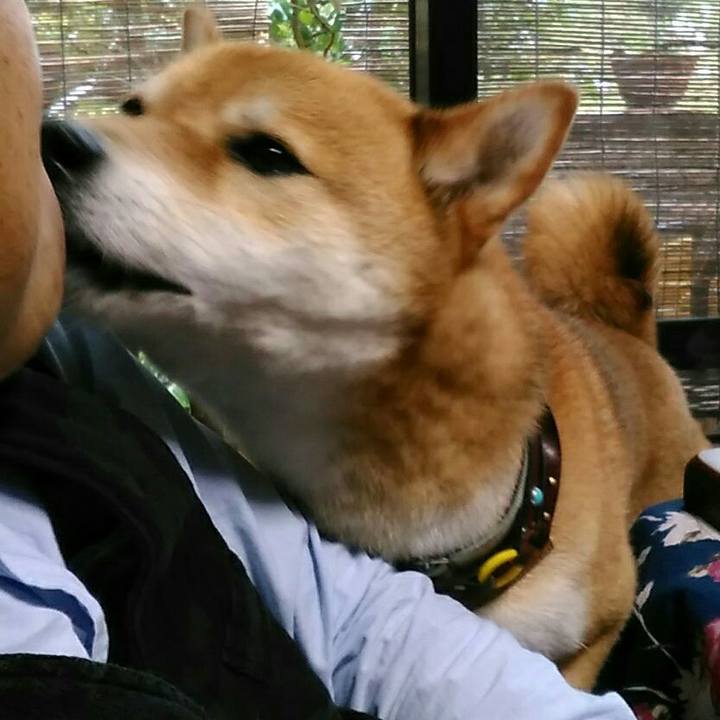 0207390c 531e 4dd5 bd50 693da6784d11 1556380954845