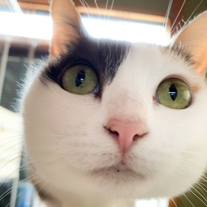 02076212 6859 497e 8773 b7af627e7677 1581992157676