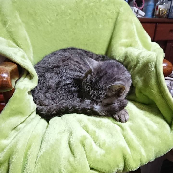 0207a313 d81e 444d 9555 6c39fac6fabb 1590924604241