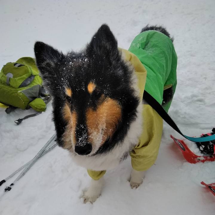 0207a4b2 5e05 4218 a879 fde306a03ff1 1518942769702