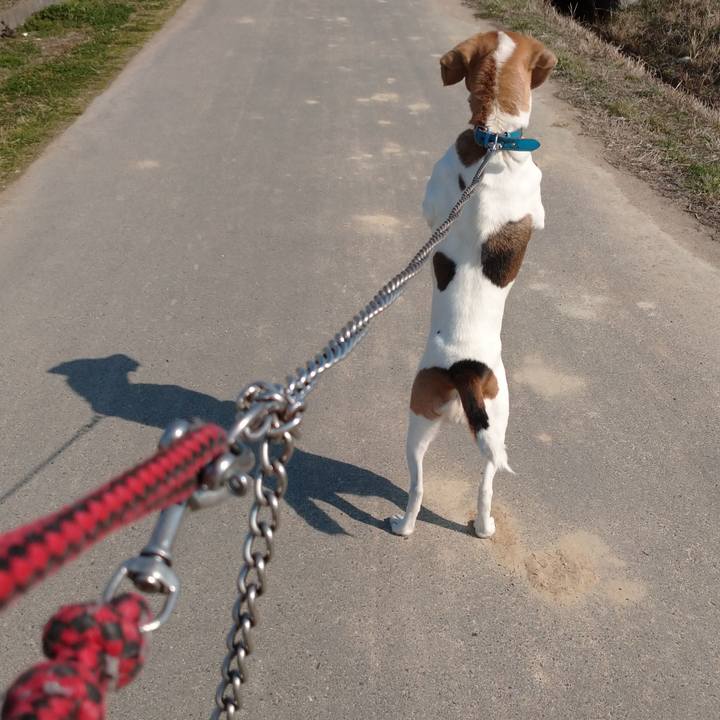 0207a5fc 46b4 412c b60c 81881f559171 1613883107277