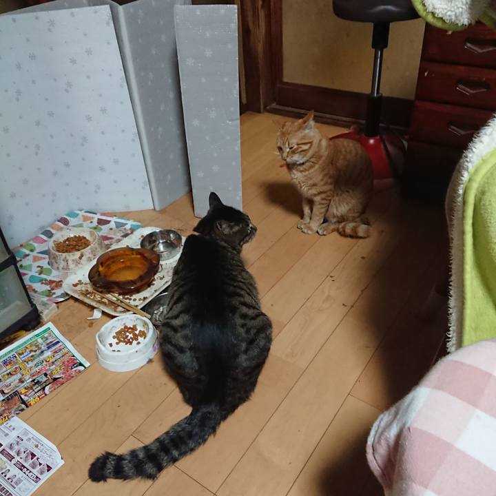 0207a875 f0ee 401a b40a 80a6d04cab14 1648469290111