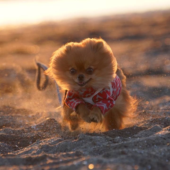 0207ad5a 0744 47a6 8a6b de55e66340be 1547465647955