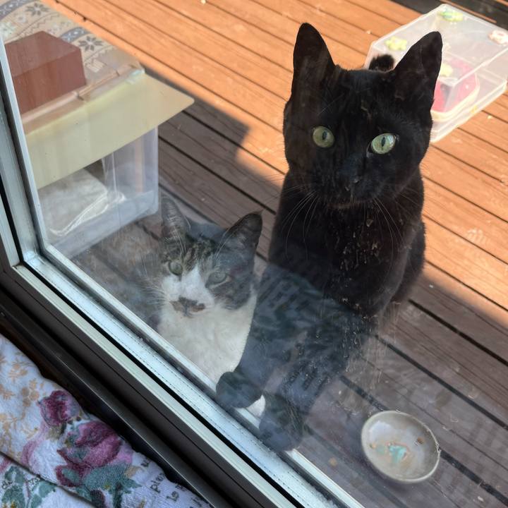 0207d7a3 7c6e 419e b12c f5adcc6df922 1748330225461