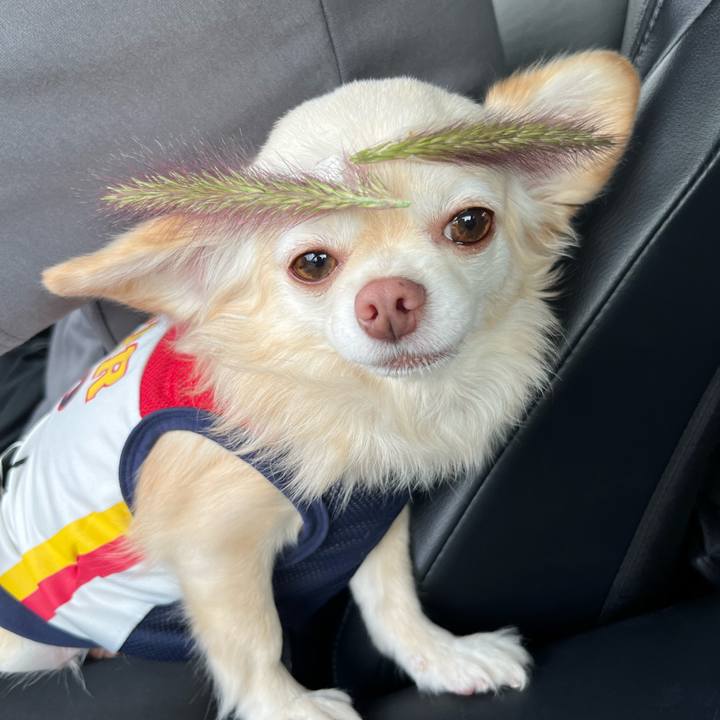 0207e153 1b29 452a 877a 20899bbf4ac0 1727498326227