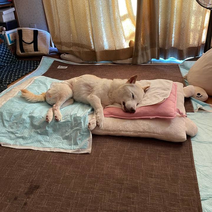 0207e1c8 c351 43c3 9d39 b225d3e137b9 1666131199594