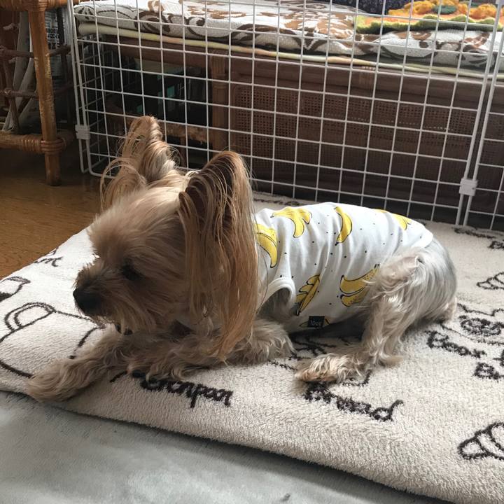 0207f33e 8416 4f4a bbf4 083bd74ef3b4 1612430640810