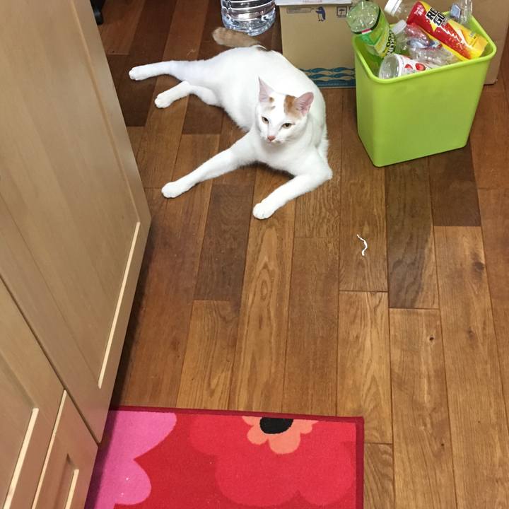 0207fbcf db31 44b4 806c dfd479cb36d1 1528687330286