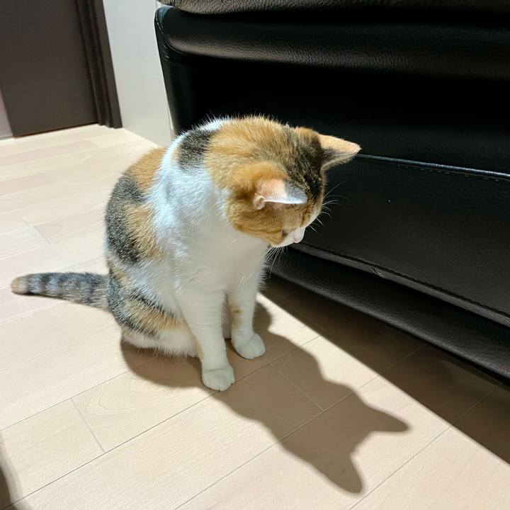 02084aaa 46c2 49dc b68b c231682ffc9d 1755748073744