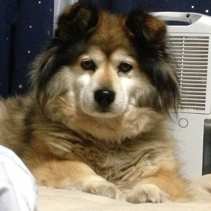 02085e9a 7819 4ae7 ac41 84a8aecc99b3 1557662475961