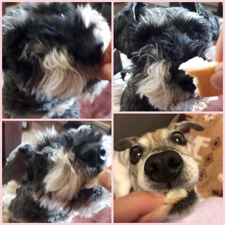 0208716b 3ea1 44f6 a99f 852a9a1f9abb 1522845605193