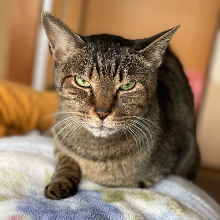 020877de 0f63 4983 9141 3fc81dc44249 1615512458075