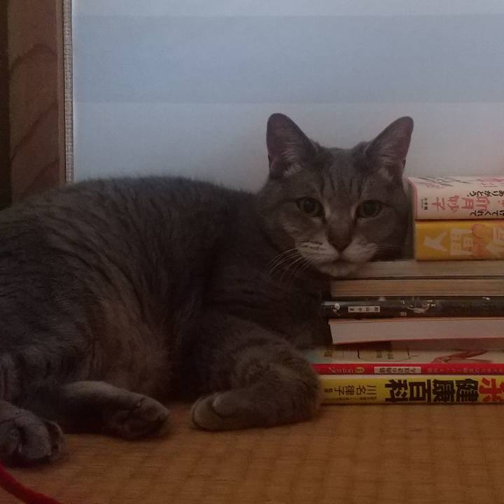 02089171 4f2c 41e4 94fa c9b453202e34 1653888979981