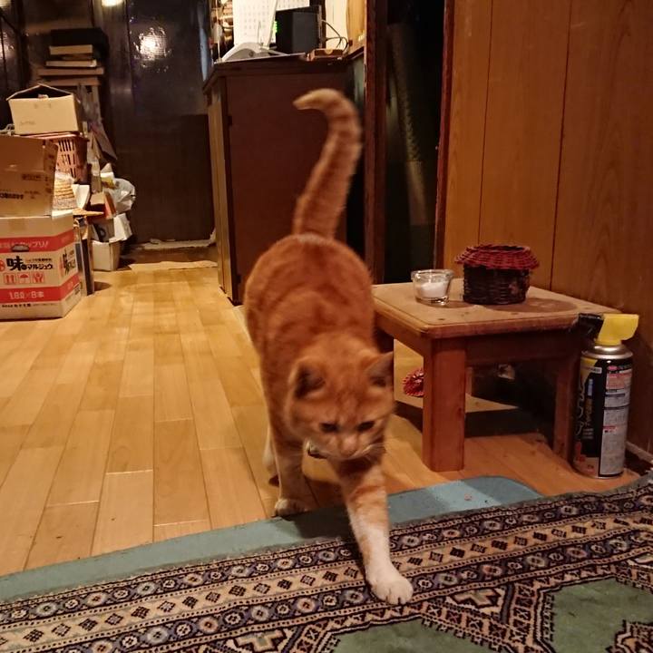 0208ba17 3fb3 4887 9c94 ecf219f3f6cd 1577264060176