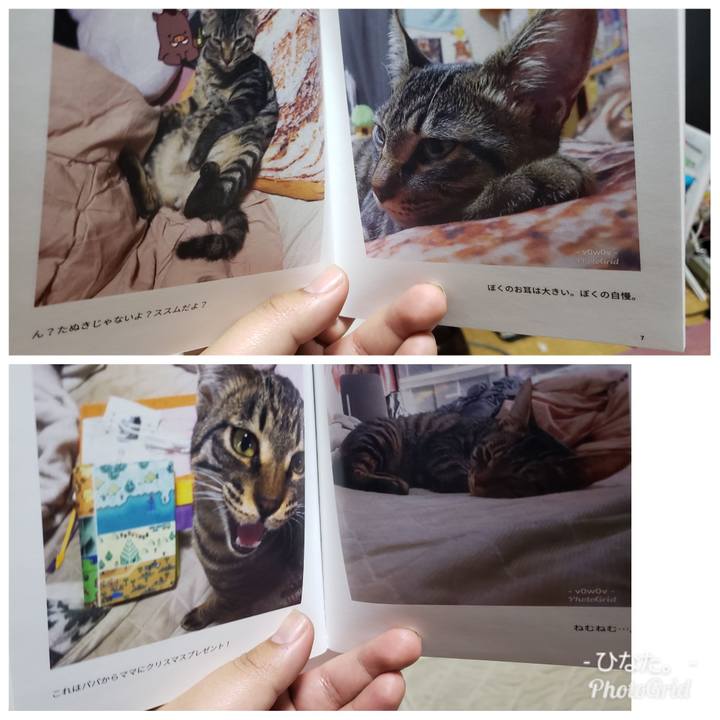 0208fbec 6d45 4581 a4c2 d091a0fb924e 1548494806958