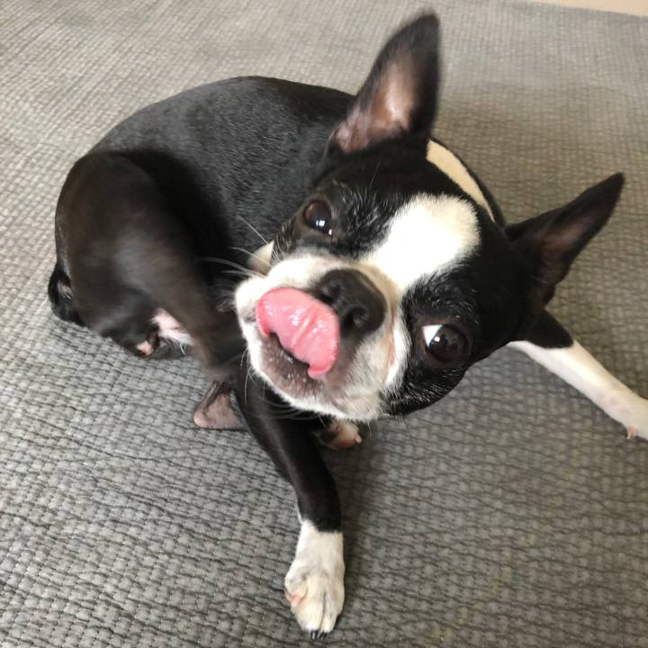 02090497 9962 4b9d b451 916308268c2c 1652145544713