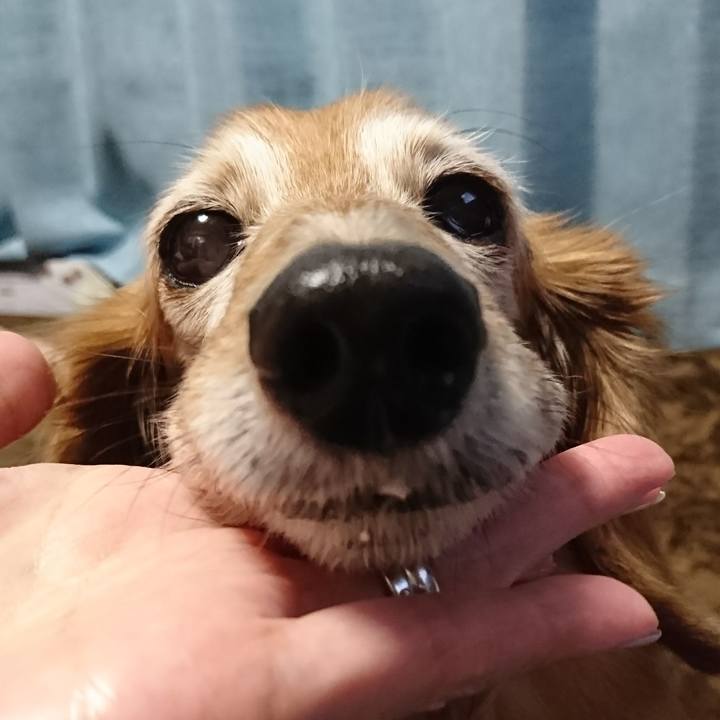 020974b1 c9ed 48fe 9747 c3ddd7ca3224 1515317450738