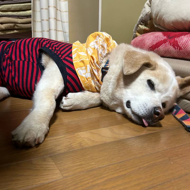 02097c52 3f2c 47f1 99eb 21536f8eec58 1713357625770