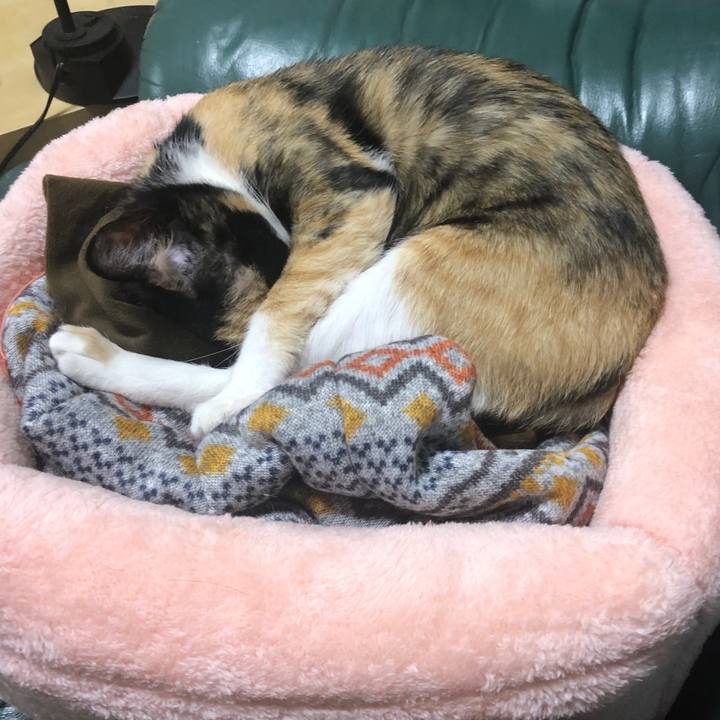 0209939b 0ba3 4fed 8a54 55fbe0b381ad 1581508475192