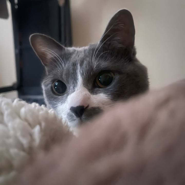 02099621 e660 4998 933c 2baf5ad1c53a 1740699112598