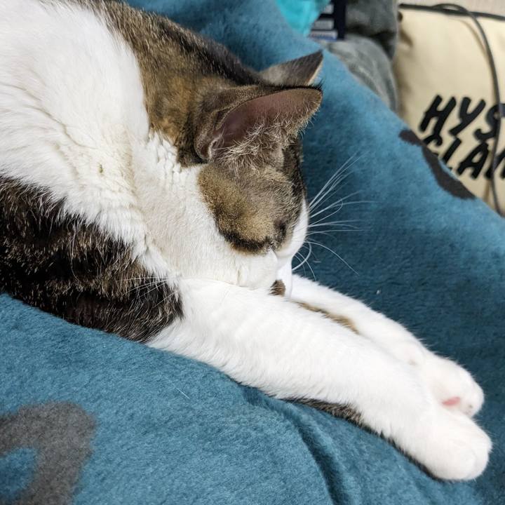 0209e0bd 8a95 4ec9 aee4 d7bf4fb01a9f 1705897033581