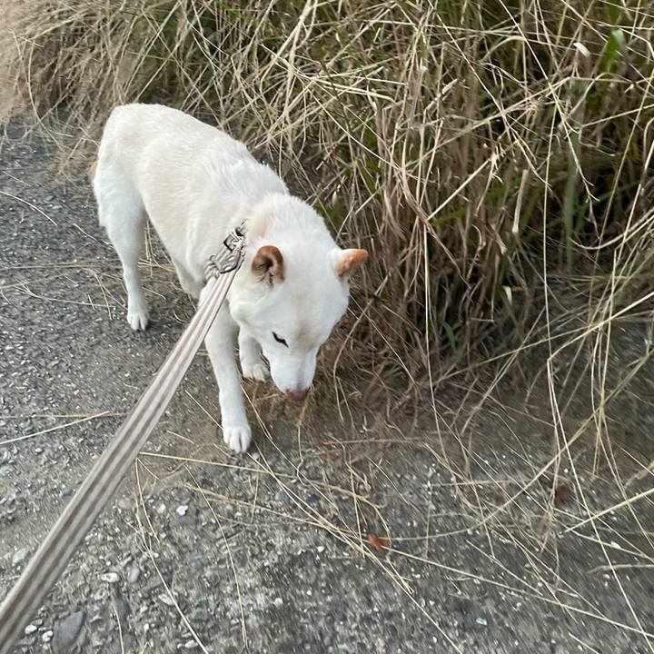 0209f1a3 c2fe 4970 8720 9e51e3ae62b9 1637163763891