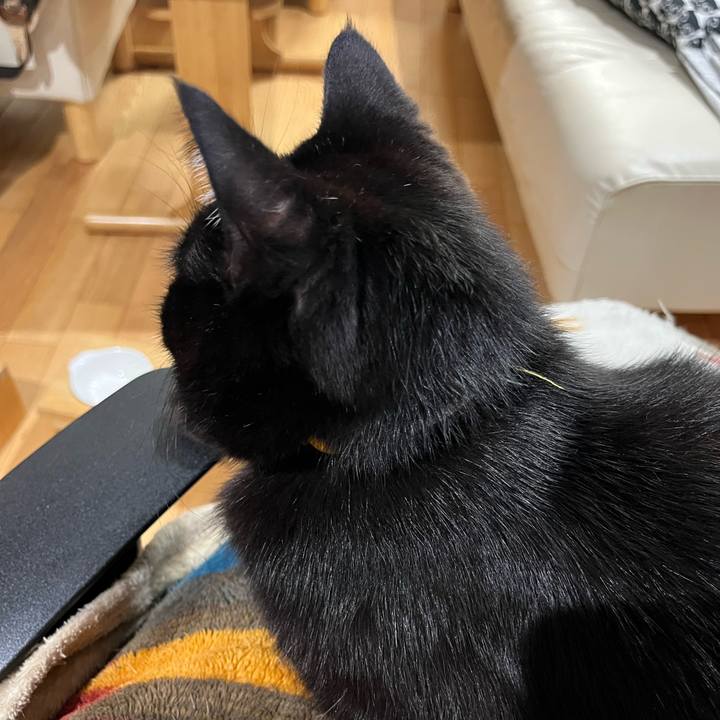 020aa285 c8c8 4a4d bb95 63a0de4b4ac8 1673826922578