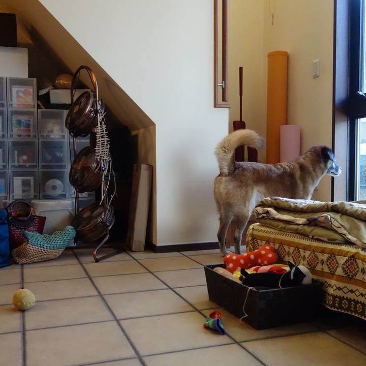 020aae8f 3e66 41f2 af65 a535d4850b34 1678583773077