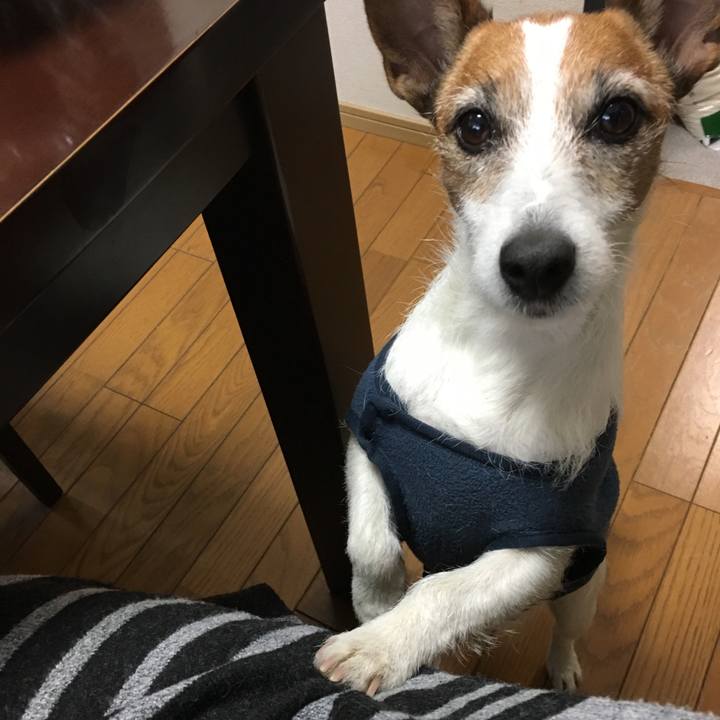 020ae997 db3d 44df 85b1 2cf691d1651e 1551324904669