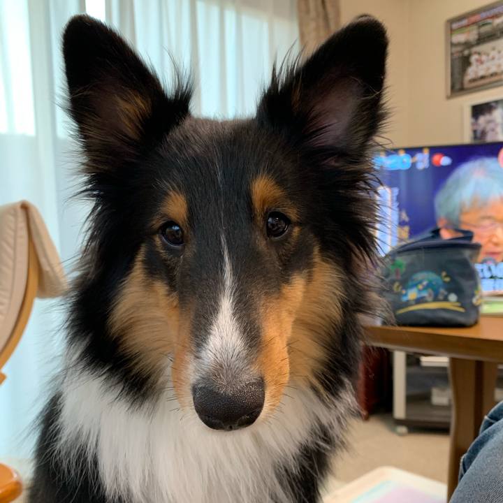 020b4d91 f6db 4de3 9843 09e3c69ca5db 1546986171843