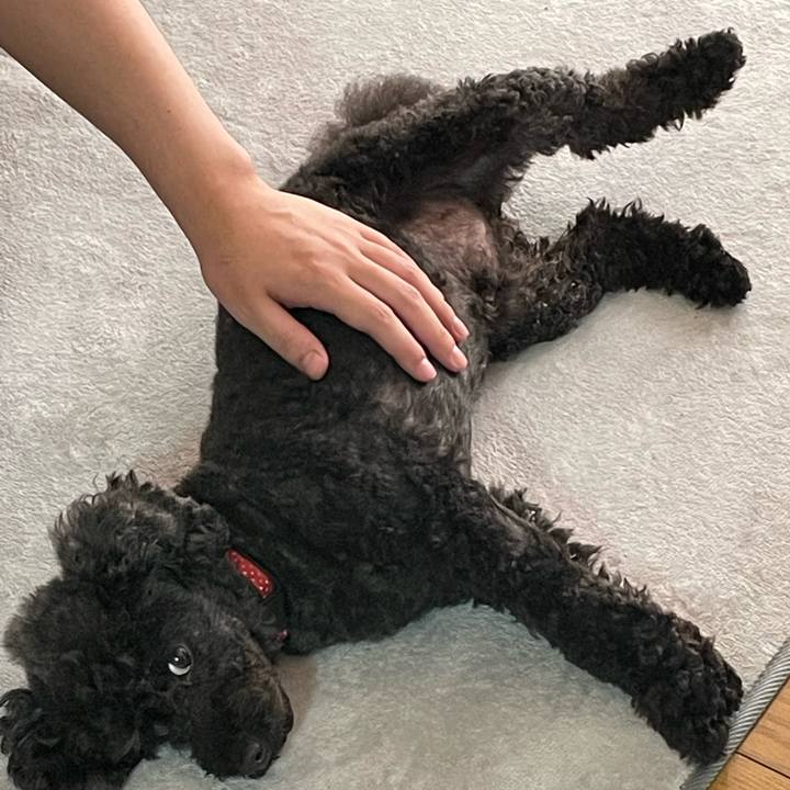 020bc21e 0201 46c5 bda0 bb3af2e0a564 1649556778125