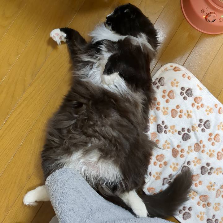 020bcb9c 504c 4b8b 9a21 564c6d6aa467 1676119771523