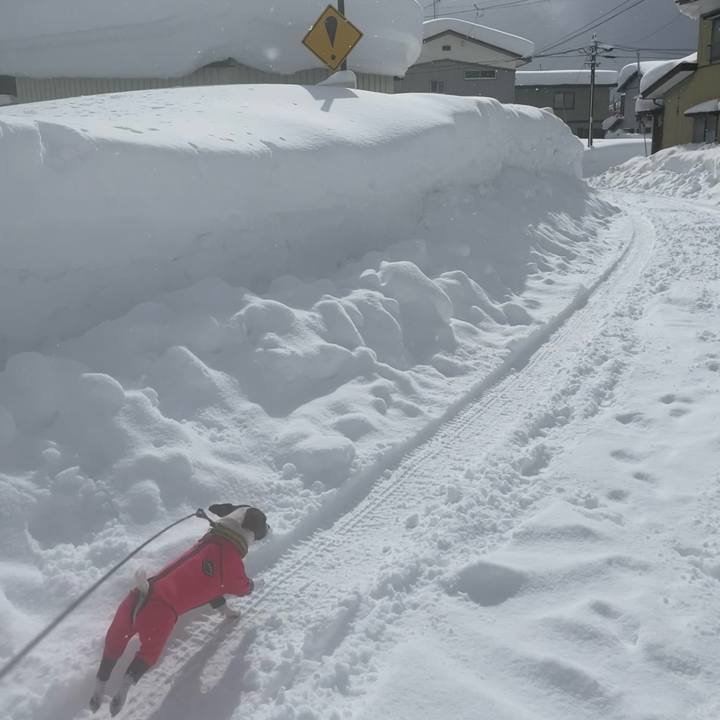 020be113 aee8 4013 983d 0cb57d20bbec 1642752998150