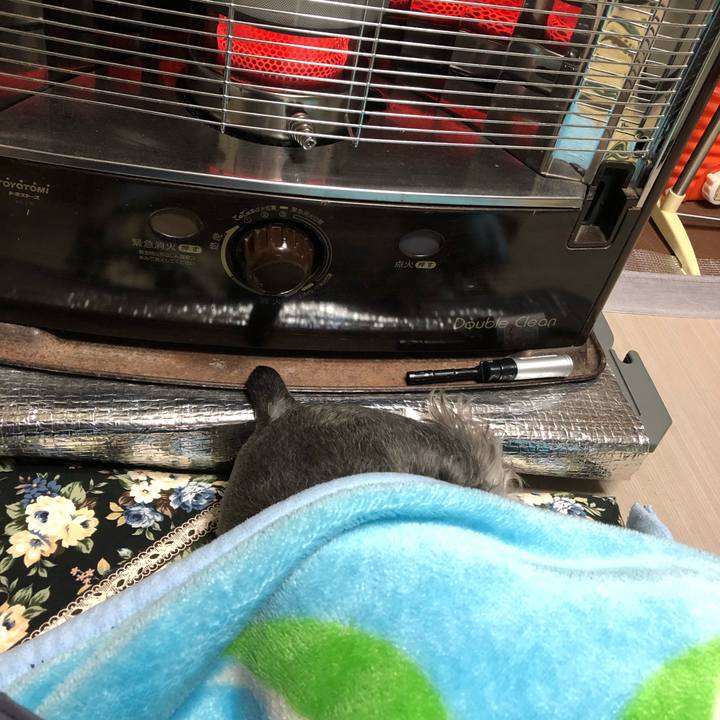 020bf795 c89a 4777 8280 c18bae9c6ff8 1638966900698